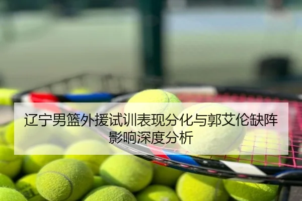 辽宁男篮外援试训表现分化与郭艾伦缺阵影响深度分析
