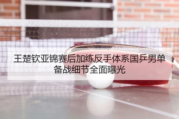 王楚钦亚锦赛后加练反手体系国乒男单备战细节全面曝光